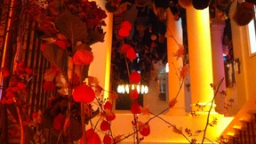 Wie weiland dribbdebach