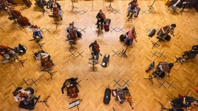 Ein Kammerorchester voller Solisten