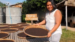 Wo der Pfeffer wächst