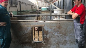 „Sie hat uns die Augen geöffnet“