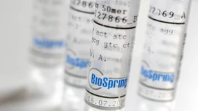 Mit Gen-Schnipseln gegen Krebs