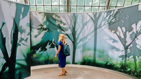 Bunte Falter, überdimensionale Bienen