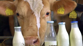 Agrarprodukte werden immer teurer