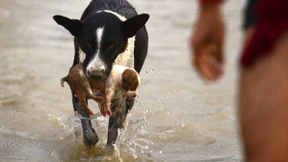 Monsunregen zwingt Menschen zur Flucht