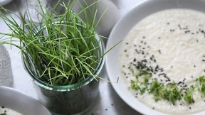 Aufstand der Beilagen