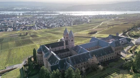 Expats, rettet den Rheingau!