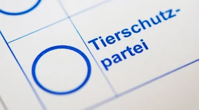 Kleine Parteien schauen in die Röhre