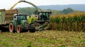Politiker wollen Landspekulation einschränken 