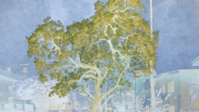 Magische Momente in Los Angeles