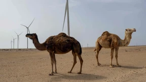 UN-Sicherheitsrat: Westsahara sollte autonomer Teil Marokkos werden