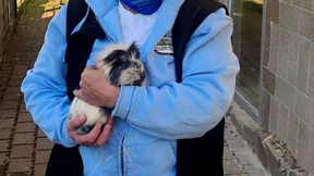 „Mein Papa will es nicht haben. Bitte helft dem Wirbel!“