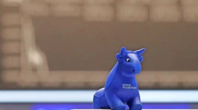 Keine Verwechslung mehr mit dem Dartverband