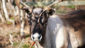 „Sie wollten unser Schweigen erkaufen“