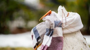 Am Samstag bis 20 Grad erwartet