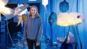 Hammerhai im Plastikmüll