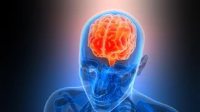 Wie KI vom Gehirn Energiesparen lernen kann