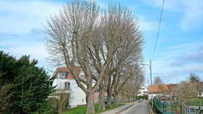 Bundesweit erstes Neubauprojekt für autistische Frauen gescheitert