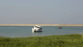 Wo die Himmel Krallen haben