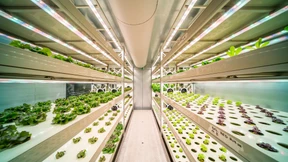 EU fördert Darmstädter Forscher mit sechs Millionen Euro