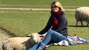 Der Deich und ich und ein Lämmchen namens Heidi Klum