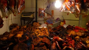 Gibt’s das auch mit Ingwer?