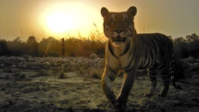 Wer seid ihr – und wie lange noch?