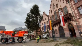 Wie Weihnachtsbaum „Bertl“ auf den Römerberg kam