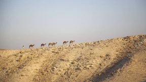 Auf dem ältesten Pilgerweg der Welt