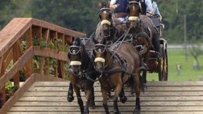 Er kann es nicht lassen