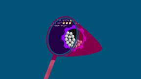 Alles so schön bunt