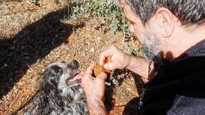 „Kaufen Sie nur bei jemandem, dem Sie absolut vertrauen“