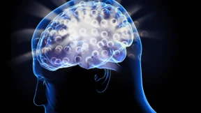 Die Gedanken sind frei