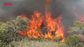 Feuerwehr kämpft gegen Waldbrände in Katalonien