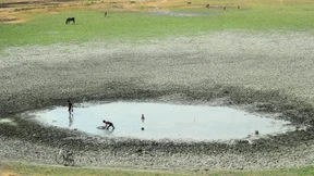 Mehr als 1300 Tote durch Hitzewelle