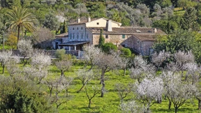 Wie sich der Traum vom Inselglück und eigenem Wein realisieren lässt
