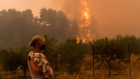Ein Land wie ein Pulverfass