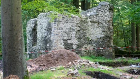 Gruseliger Schädelfund im Bulauwald