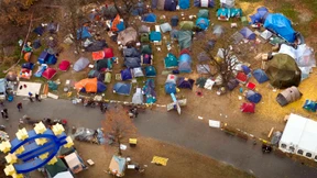 Die Hydra hat einen welkenden Kopf