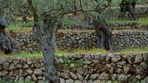 Irgendwann fällt jede Mauer um