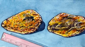 Wo bleibt die Freiheit der anderen?