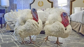 Donald Trump spottet über seine politischen Gegner