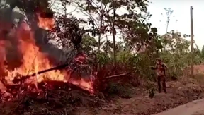 Flammen vernichten Ernte