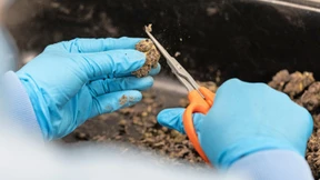 Eine Branche bangt um ihre Existenz