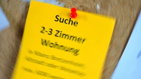 "Das Bett kann hochgeklappt werden"