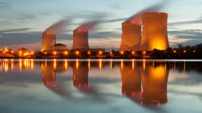 Eine Kröte namens Atomkraft