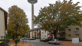 „Ich mach euch kalt!“