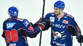 Starke Adler auf dem Eis