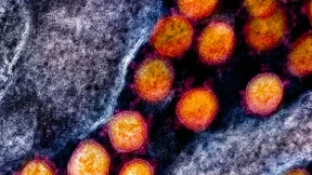 Wellness in der Zellflüssigkeit