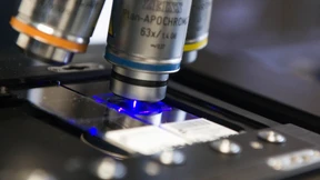 Die Revolution der Neurowissenschaft 