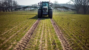 Welternährungsorganisation warnt vor hohen Nahrungsmittelpreisen